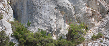 Ville de Saint Rémy de Provence