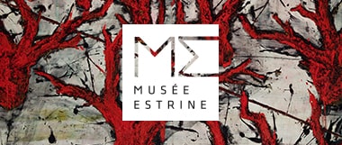 Musée Estrine